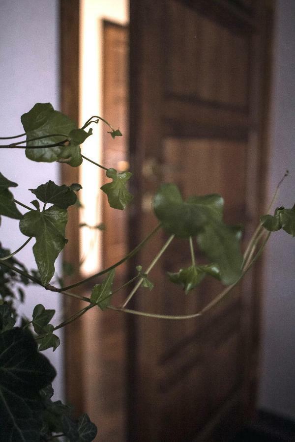Ventspils Centra Apartamenti Екстер'єр фото